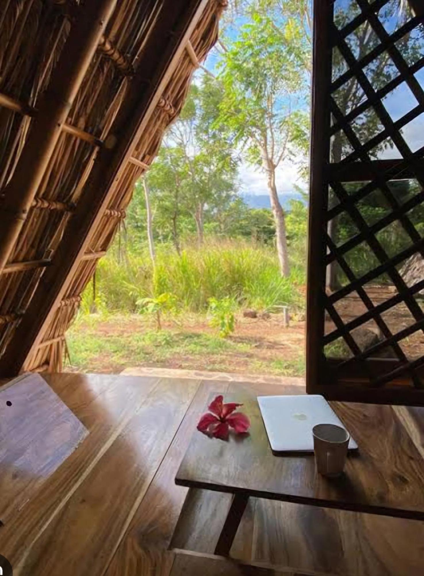 Nirvana Bamboo Houses & Dive Resort Moalboal Extérieur photo